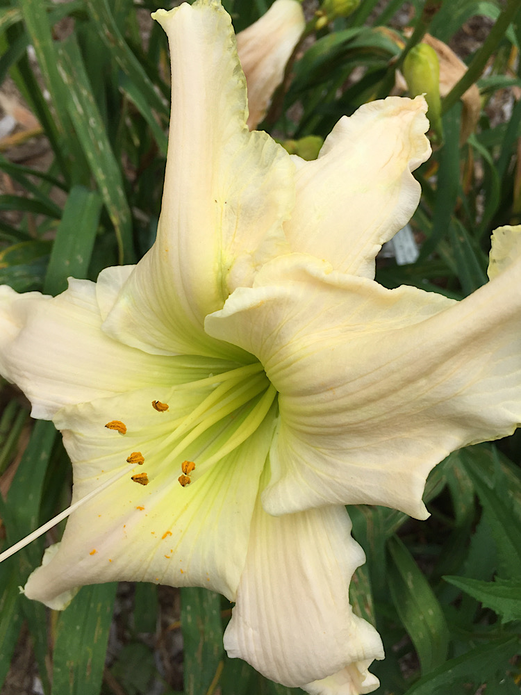 7B56CF87-327F-42C1-8E7E-061E3B19390F