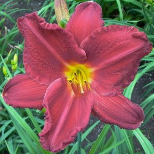 Chicago Ruby